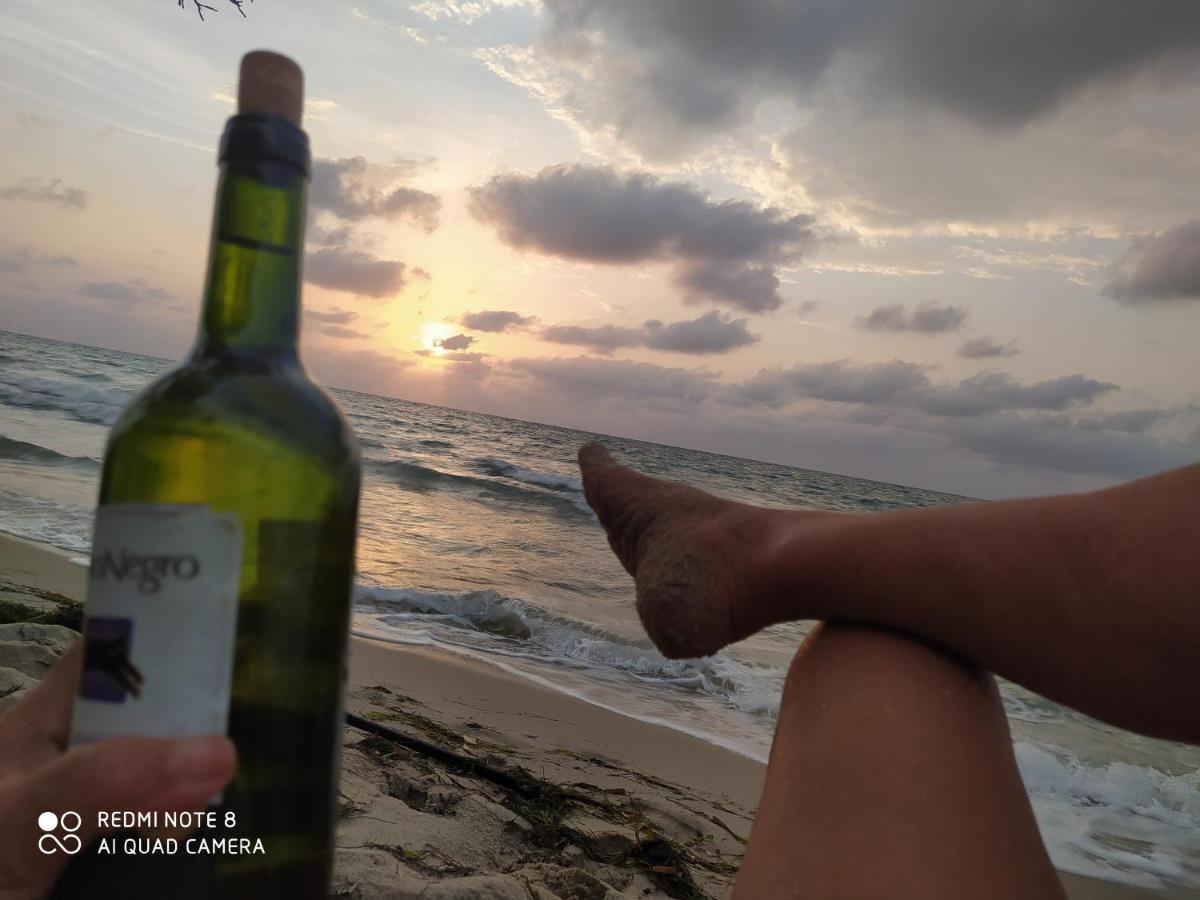 Los Versos De Zaira San Onofre Dış mekan fotoğraf
